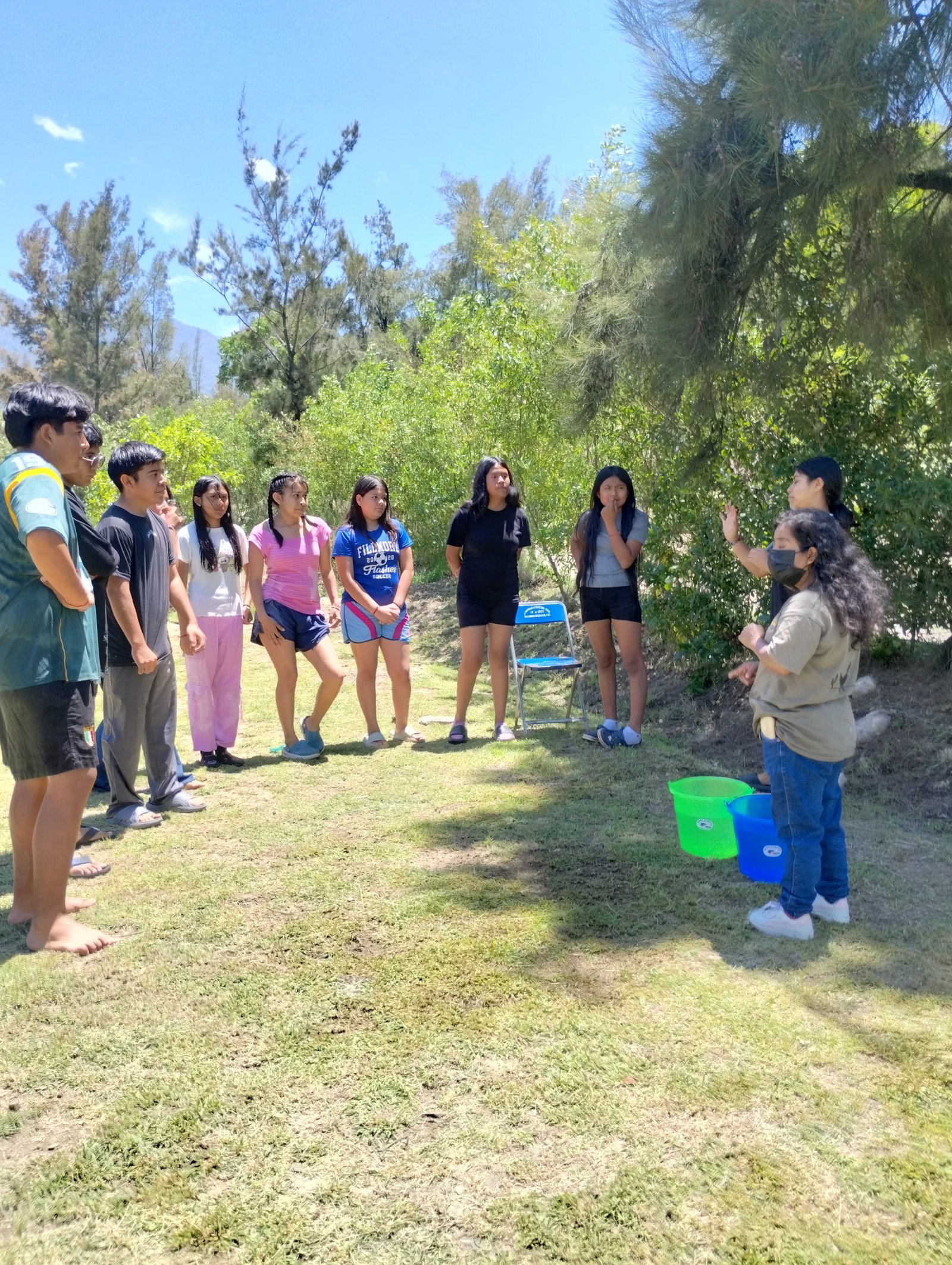 Jóvenes conviviendo en equipos pequeños bajo los árboles